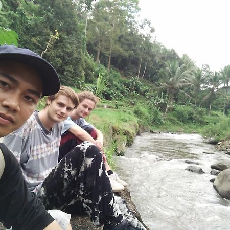 Lionk Bali House Panzió Ubud Kültér fotó