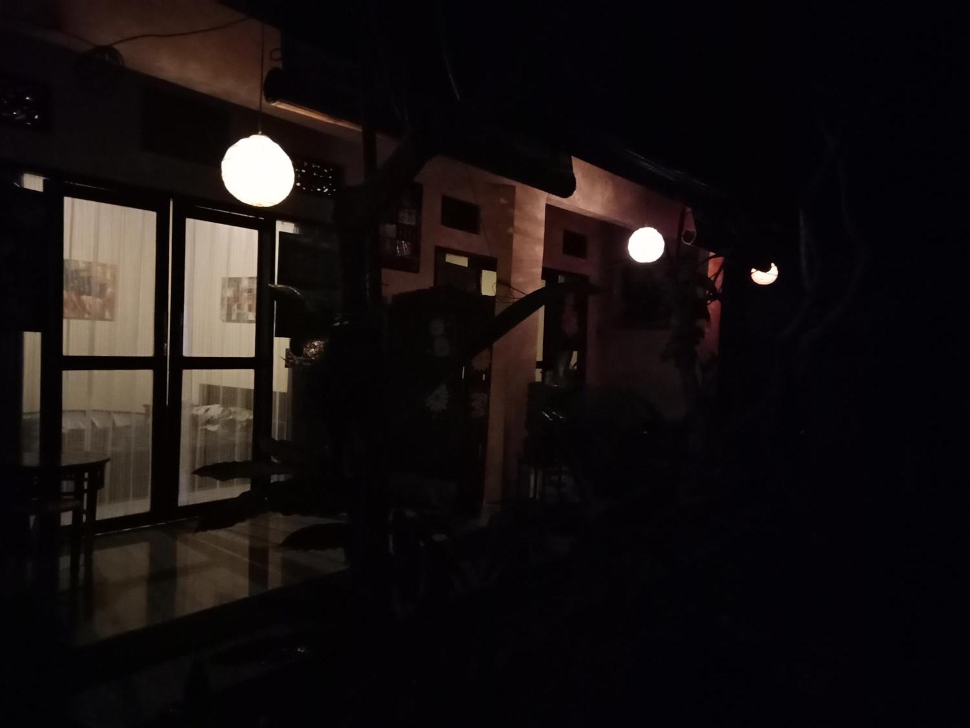 Lionk Bali House Panzió Ubud Kültér fotó