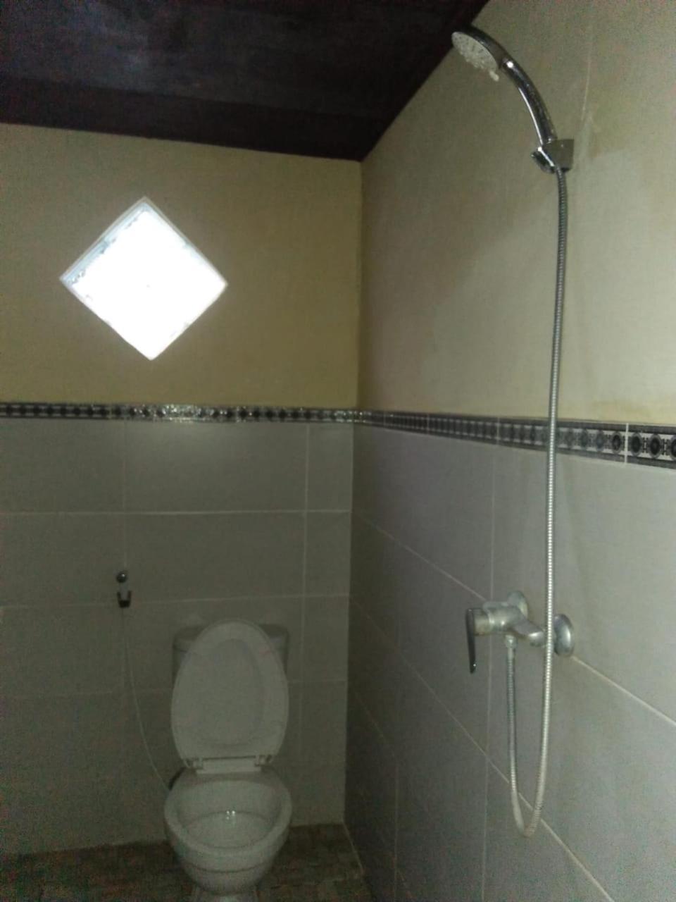 Lionk Bali House Panzió Ubud Kültér fotó