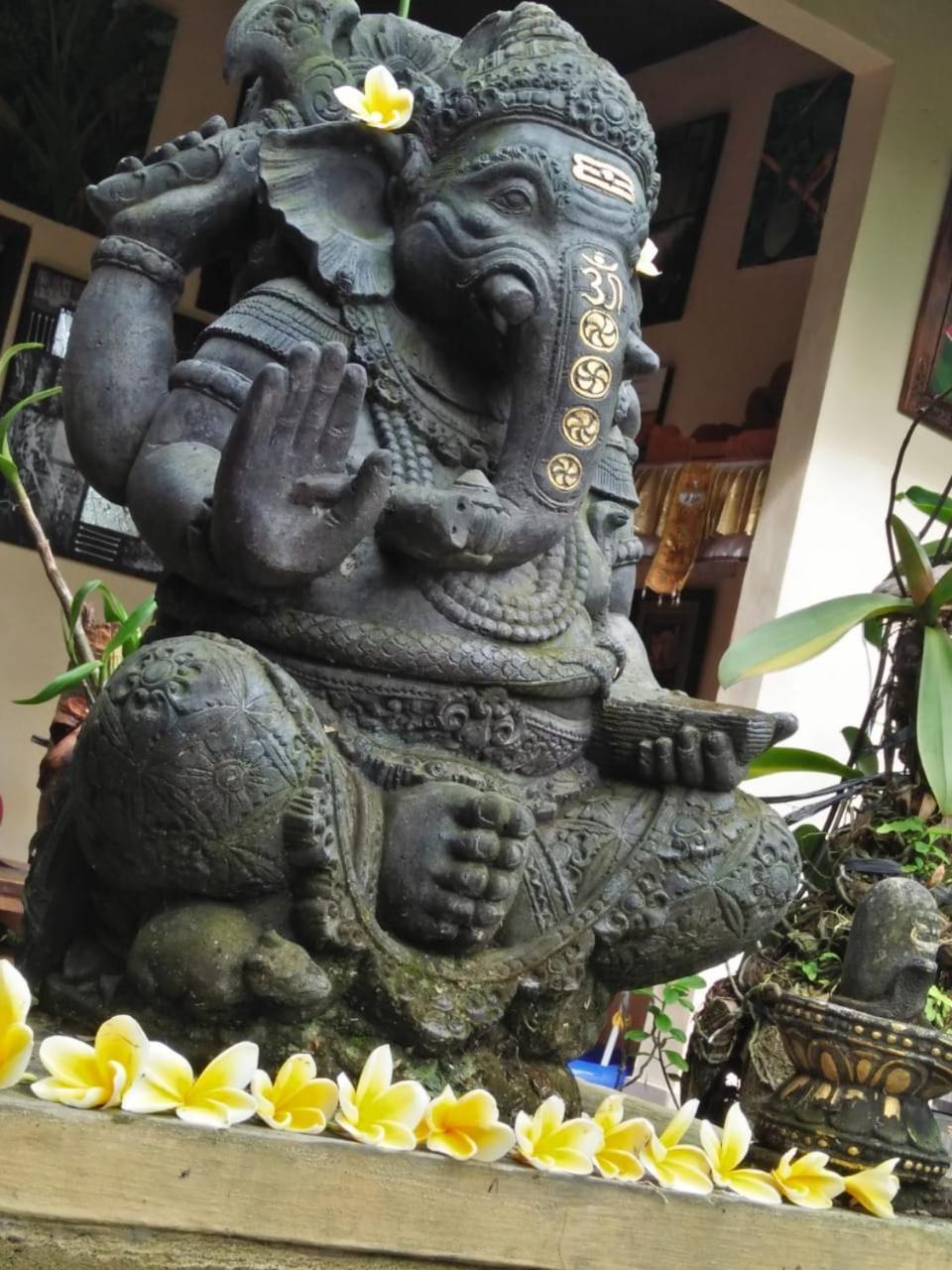 Lionk Bali House Panzió Ubud Kültér fotó