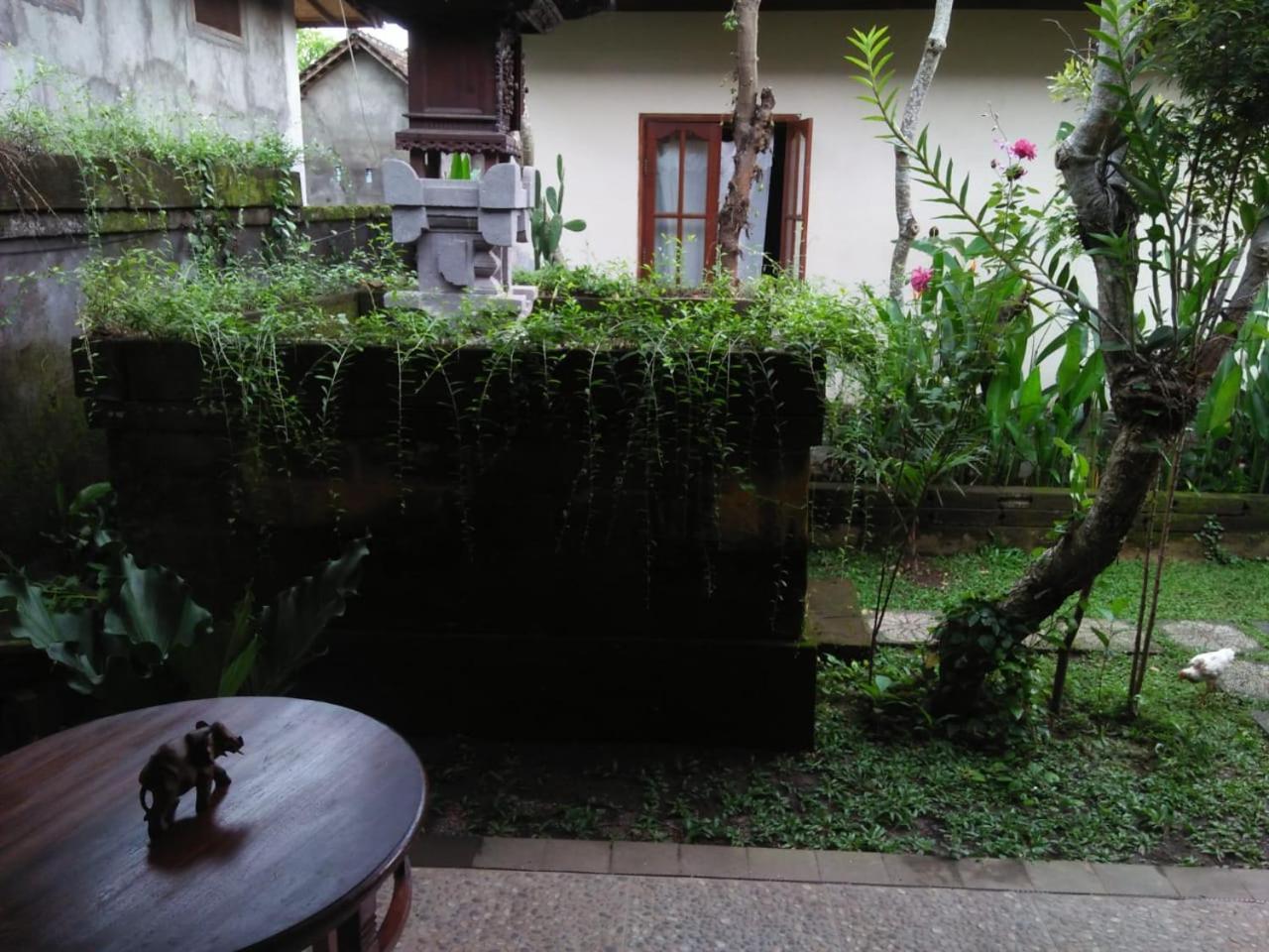 Lionk Bali House Panzió Ubud Kültér fotó
