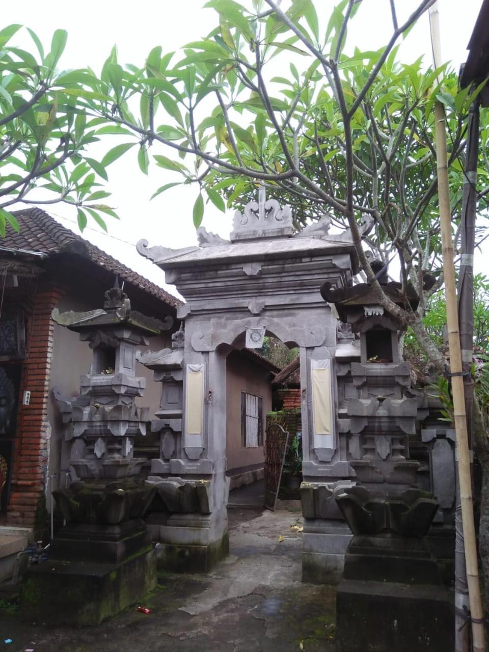 Lionk Bali House Panzió Ubud Kültér fotó